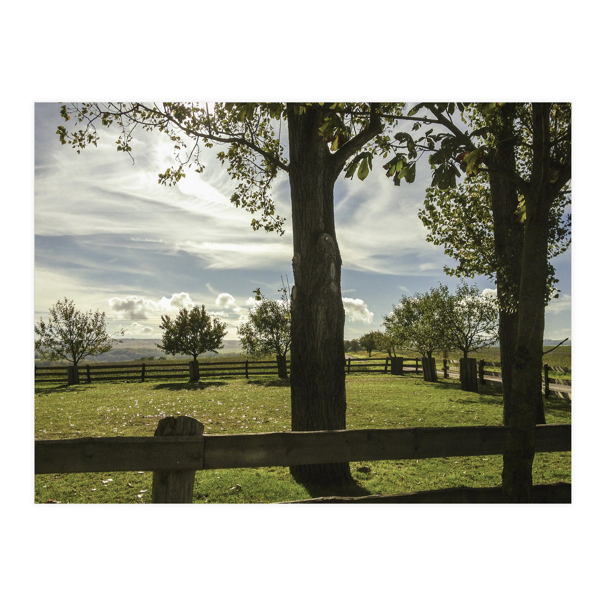 Bucolism 2 (Print Only)