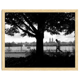 Central Park, New York City thumbnail