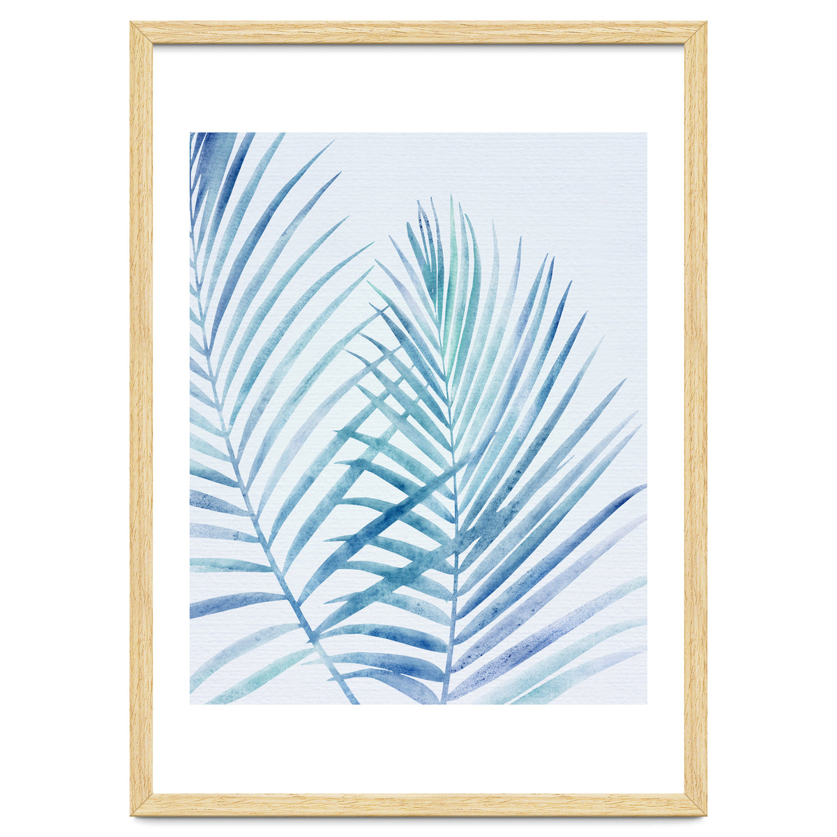 Coastal Palm Fronds