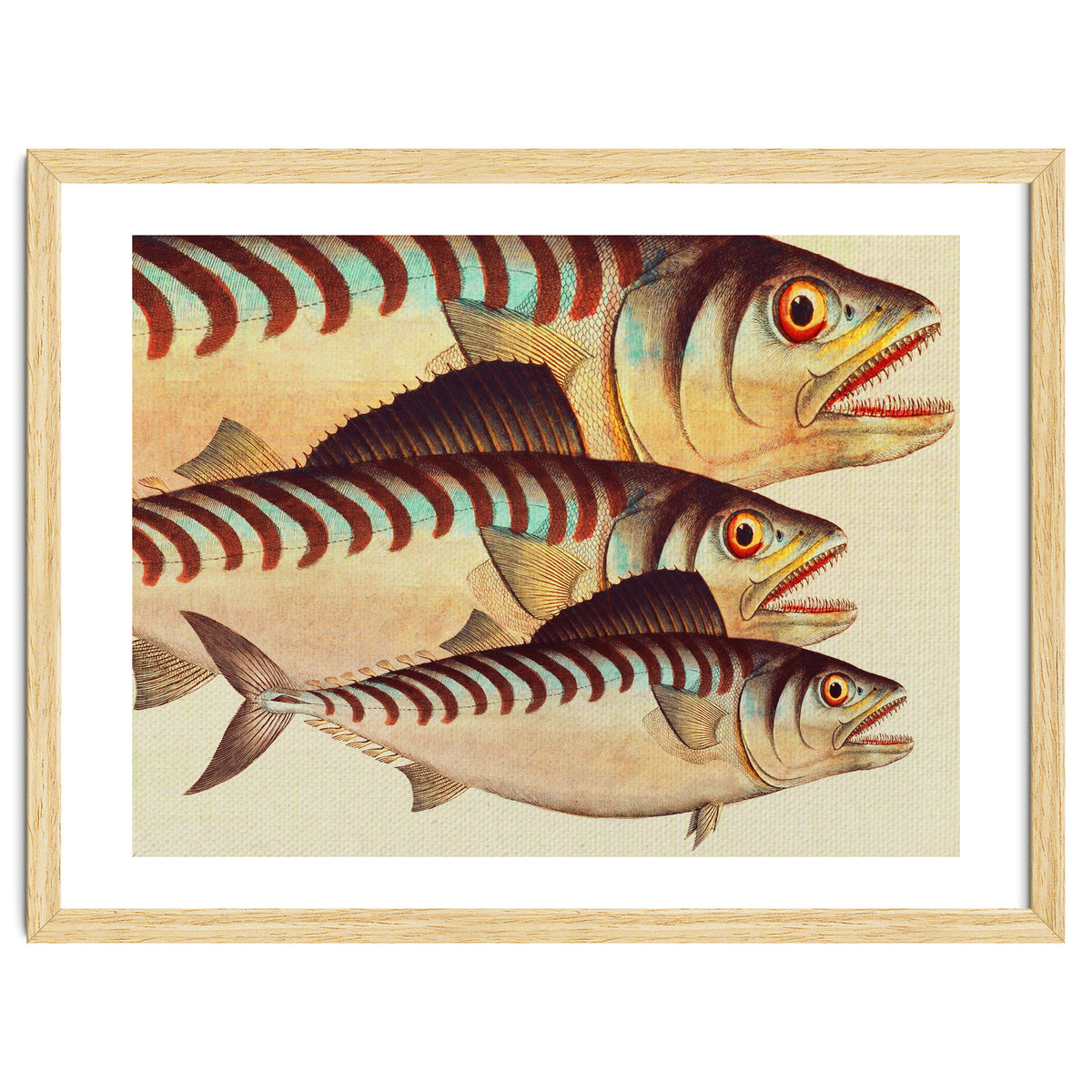 Fish Classic Designs 8