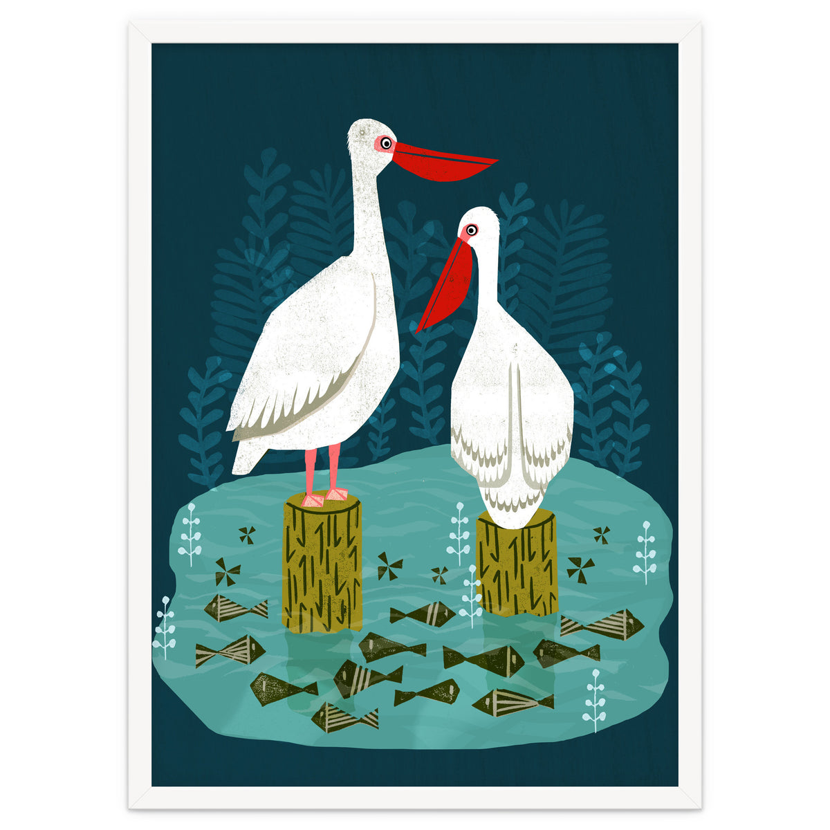 Pelicans