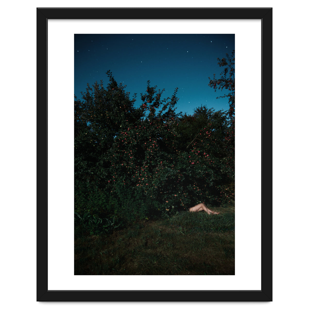 The Cider House Legs