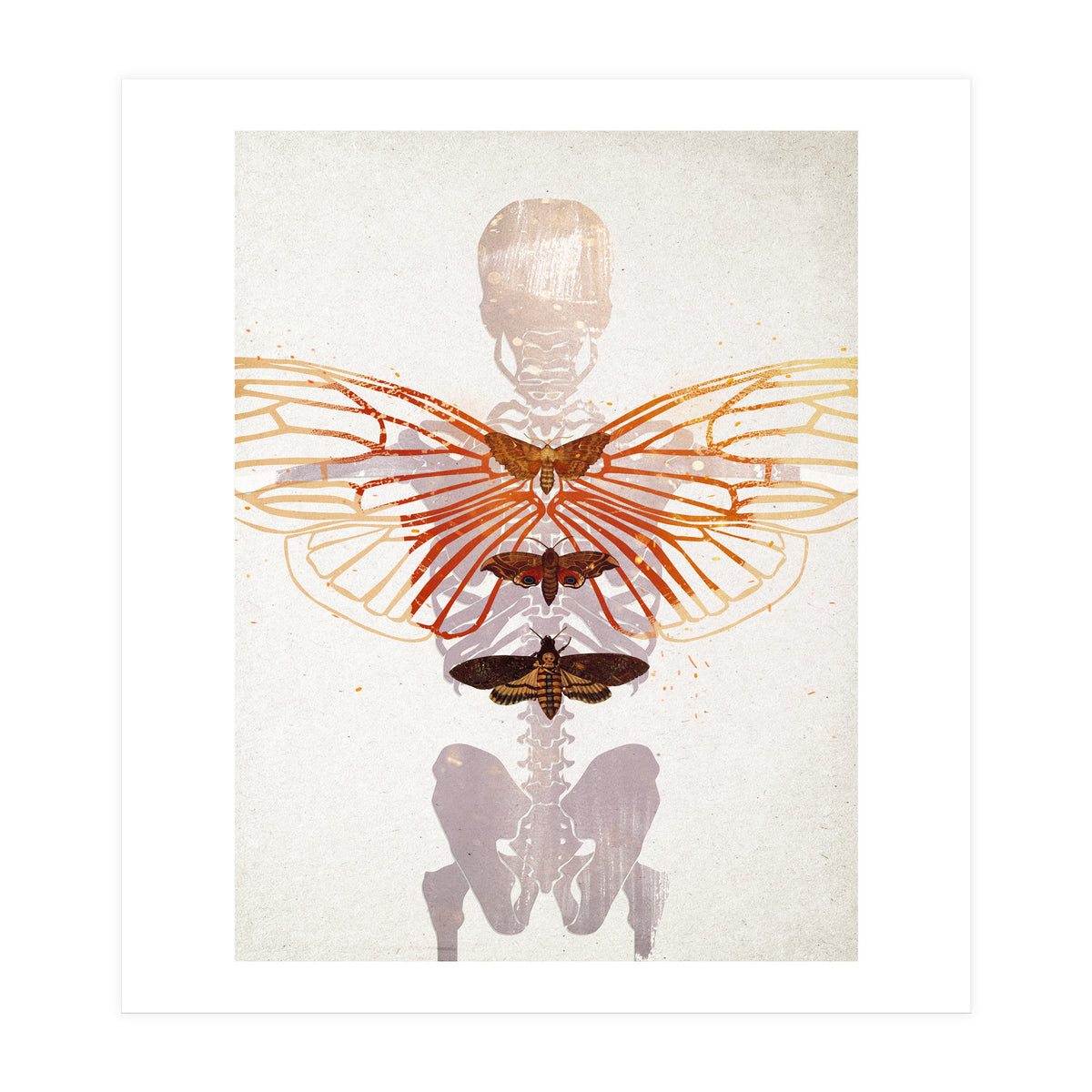 Ikarus - Like a Moth to the Flame (Print Only)