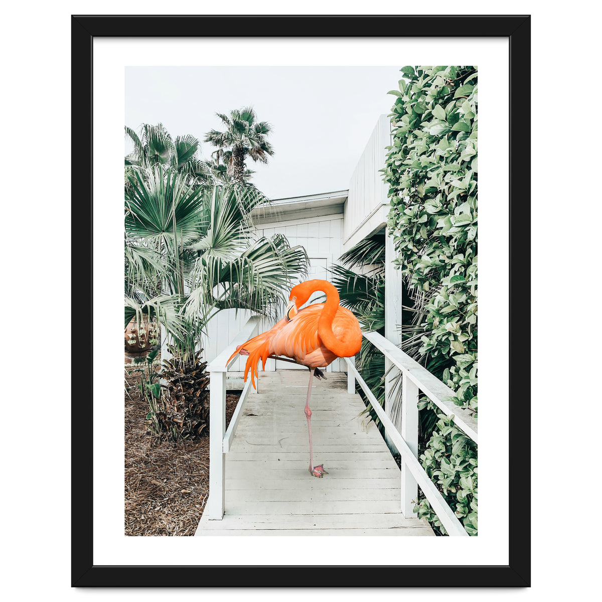 Flamingo Beach House