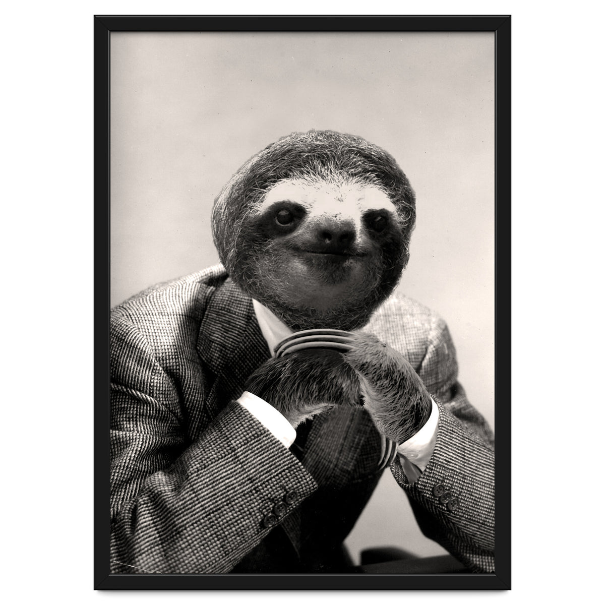 Gentleman Sloth 3