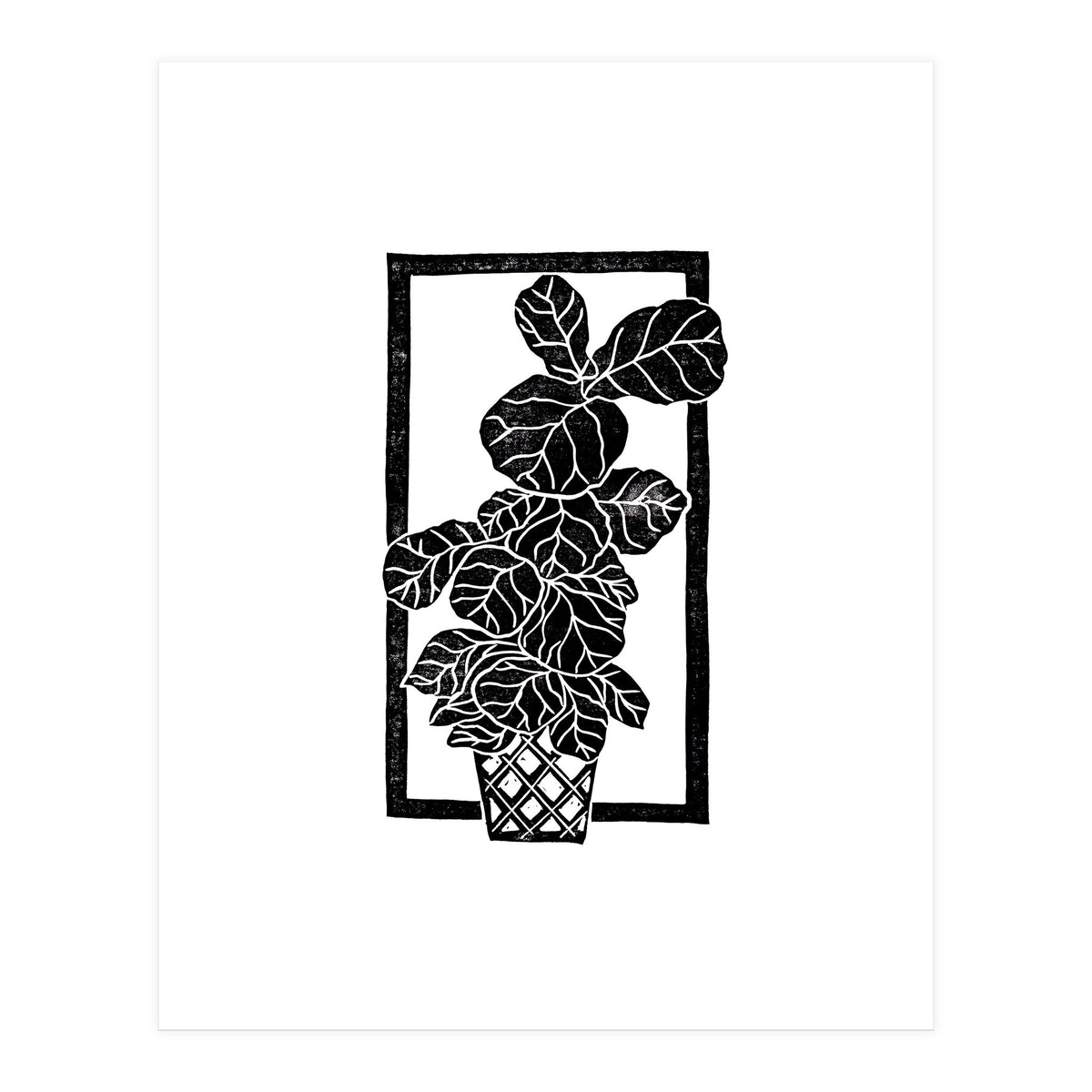 Fiddle Leaf Fig (Print Only)