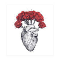 Cactus Heart (Print Only)