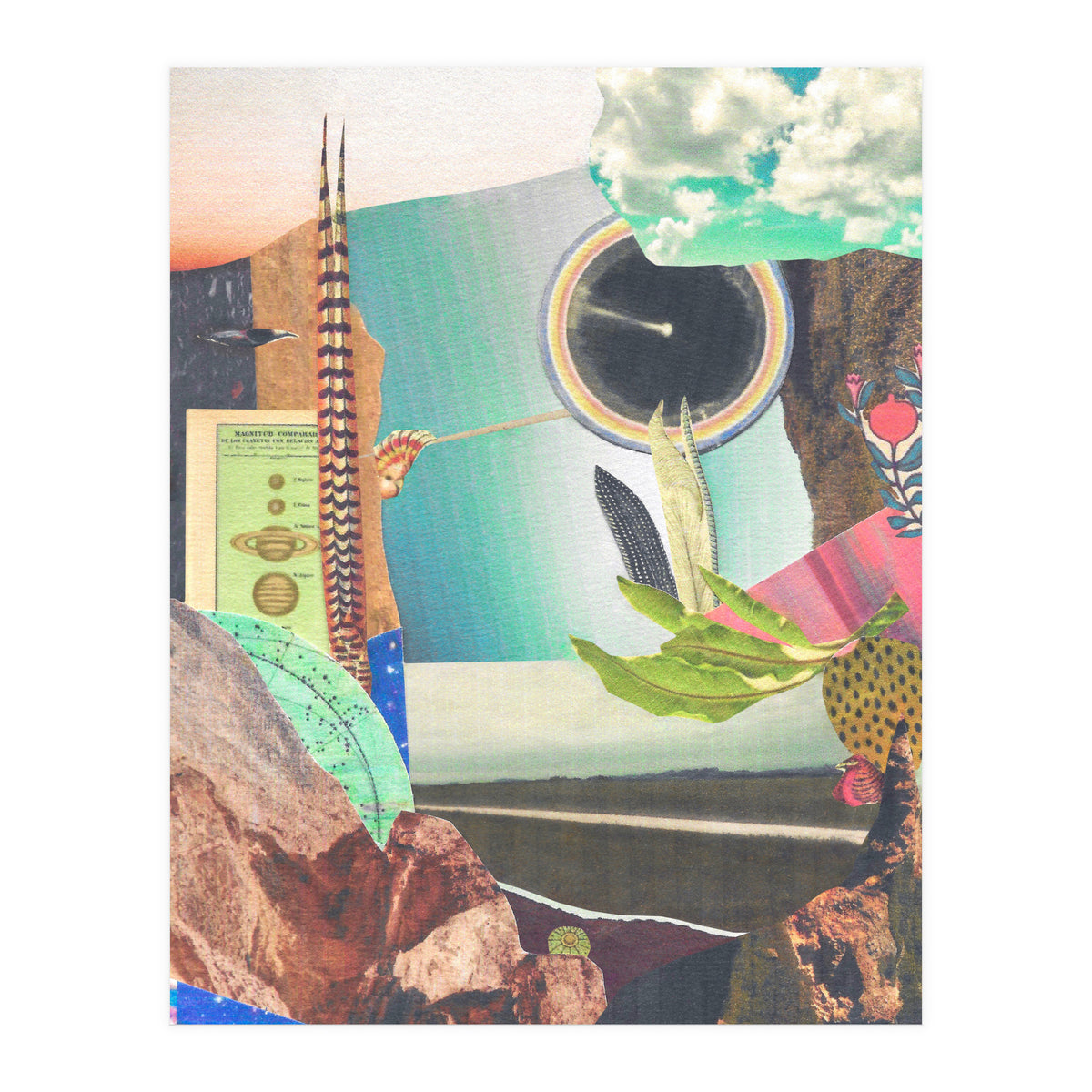 Inclose (Print Only)