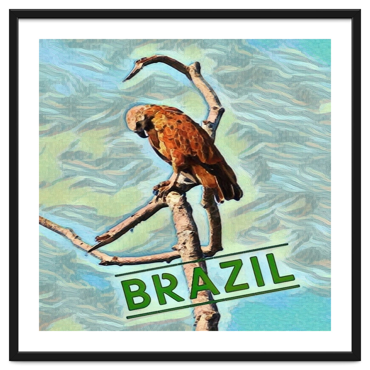 Brazilian resting Eagle