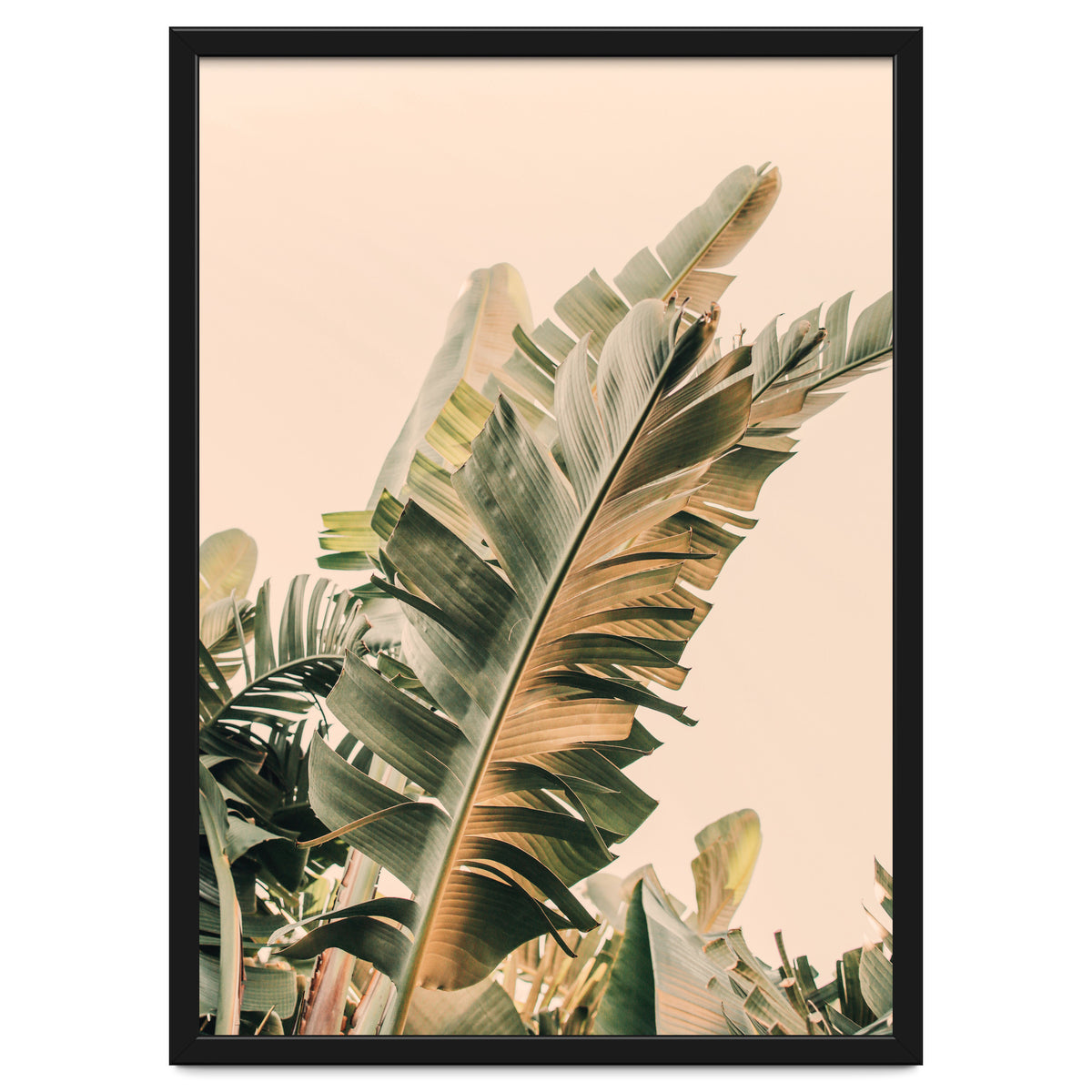 Growing Green Alicia Bock