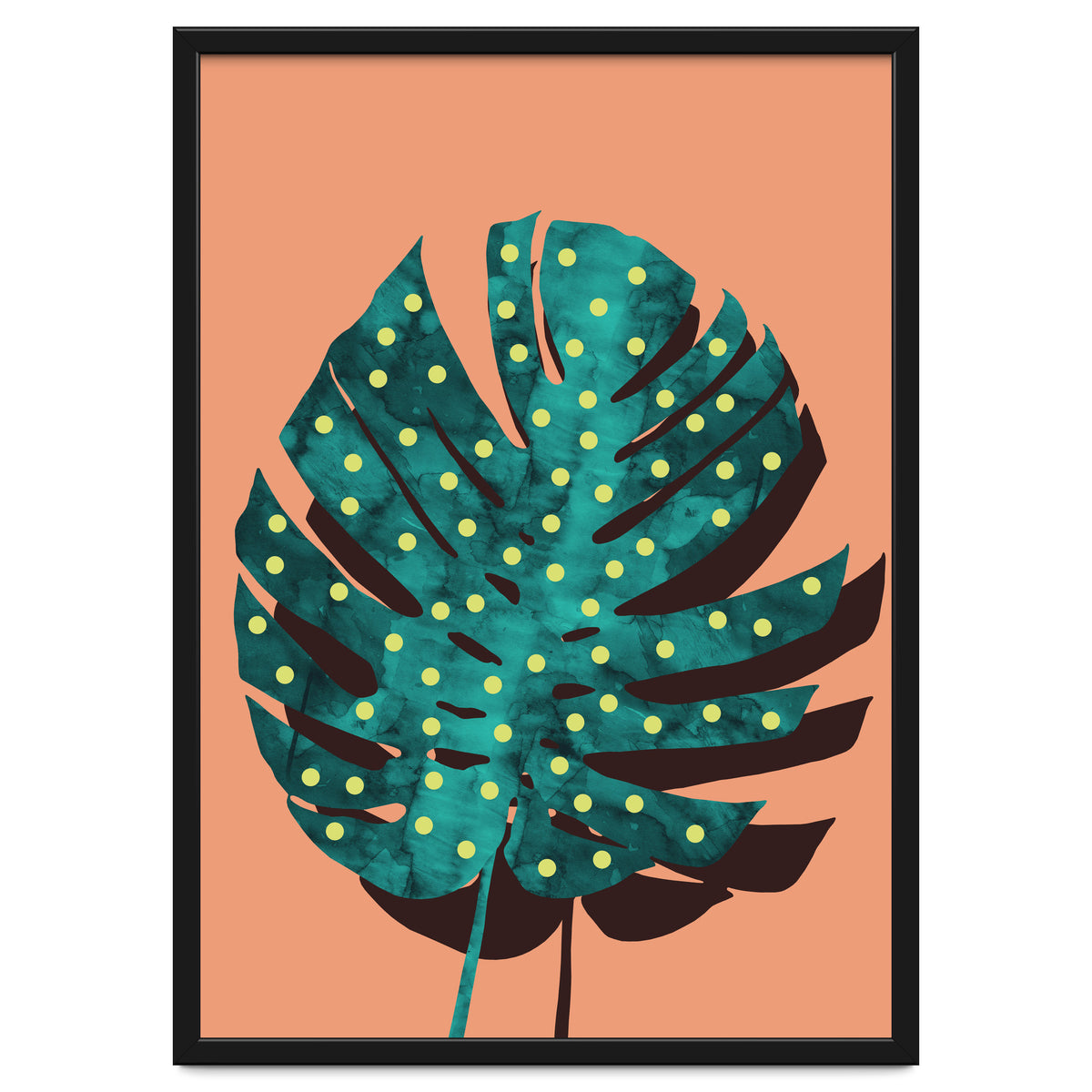 Monstera Deliciosa IV