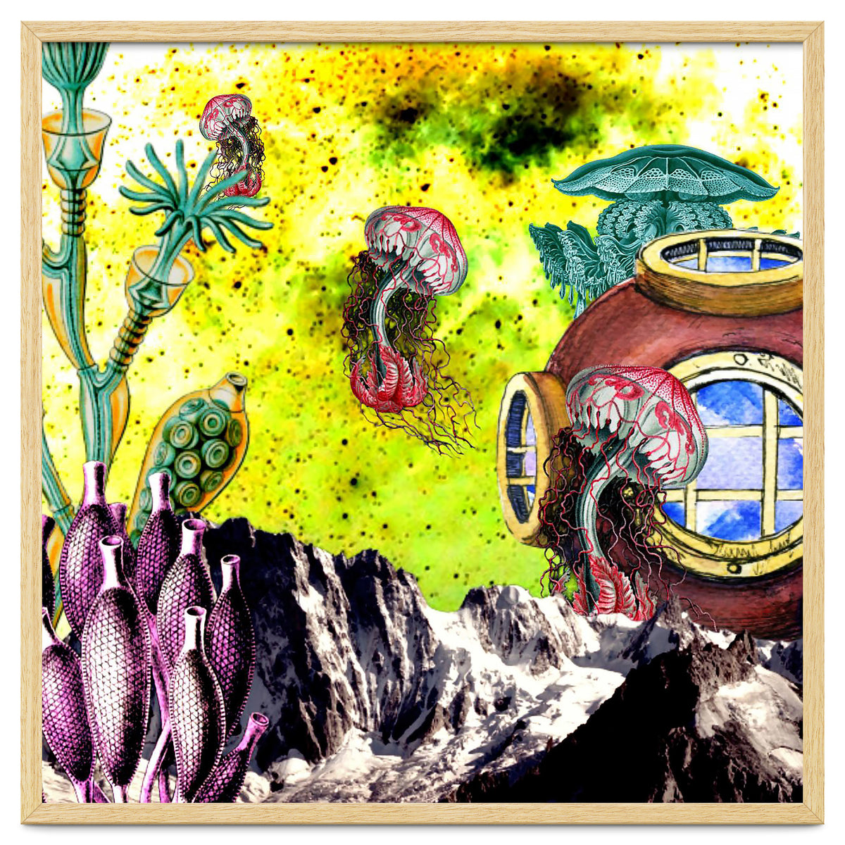 Dreaming Of Other Sea