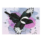 A watercolor drawing of a flying magpie (Print Only) thumbnail
