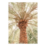 Tropical 2 (Print Only) thumbnail