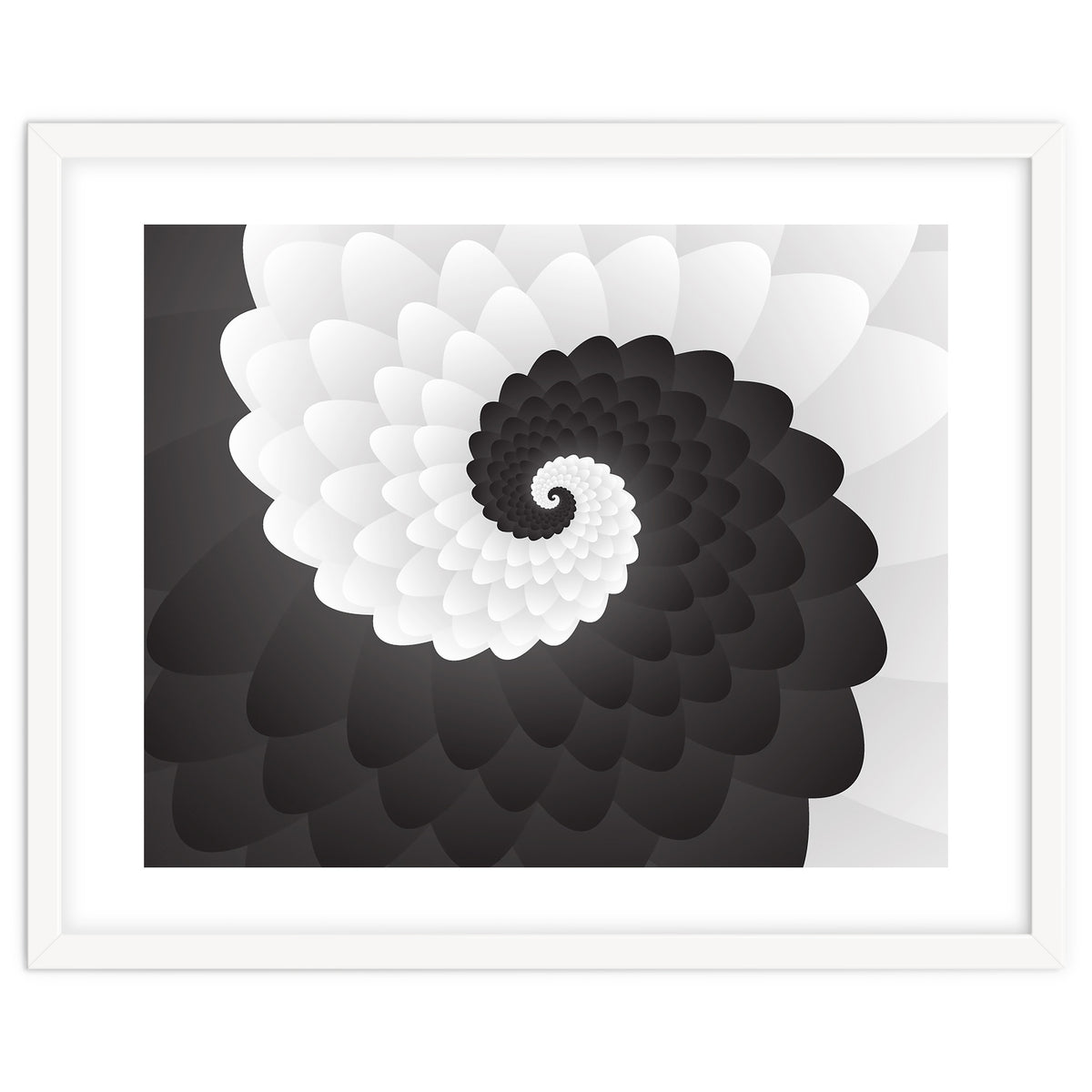 Mono Chrome Spiral Pattern