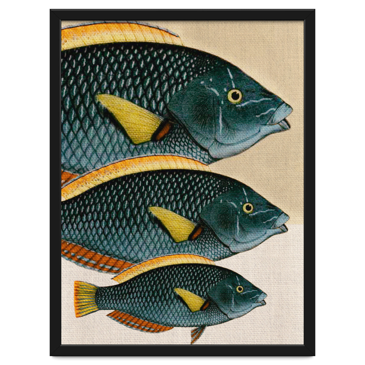 Fish Classic Designs 10