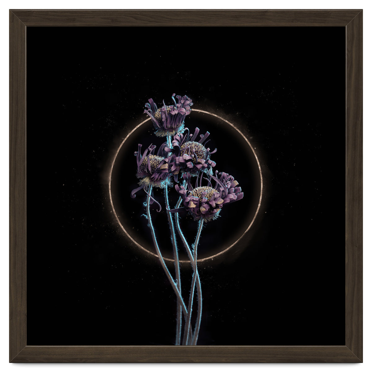 Candy-Coloured Mystery