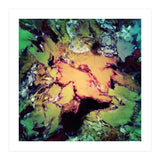 Bathe (Print Only) thumbnail