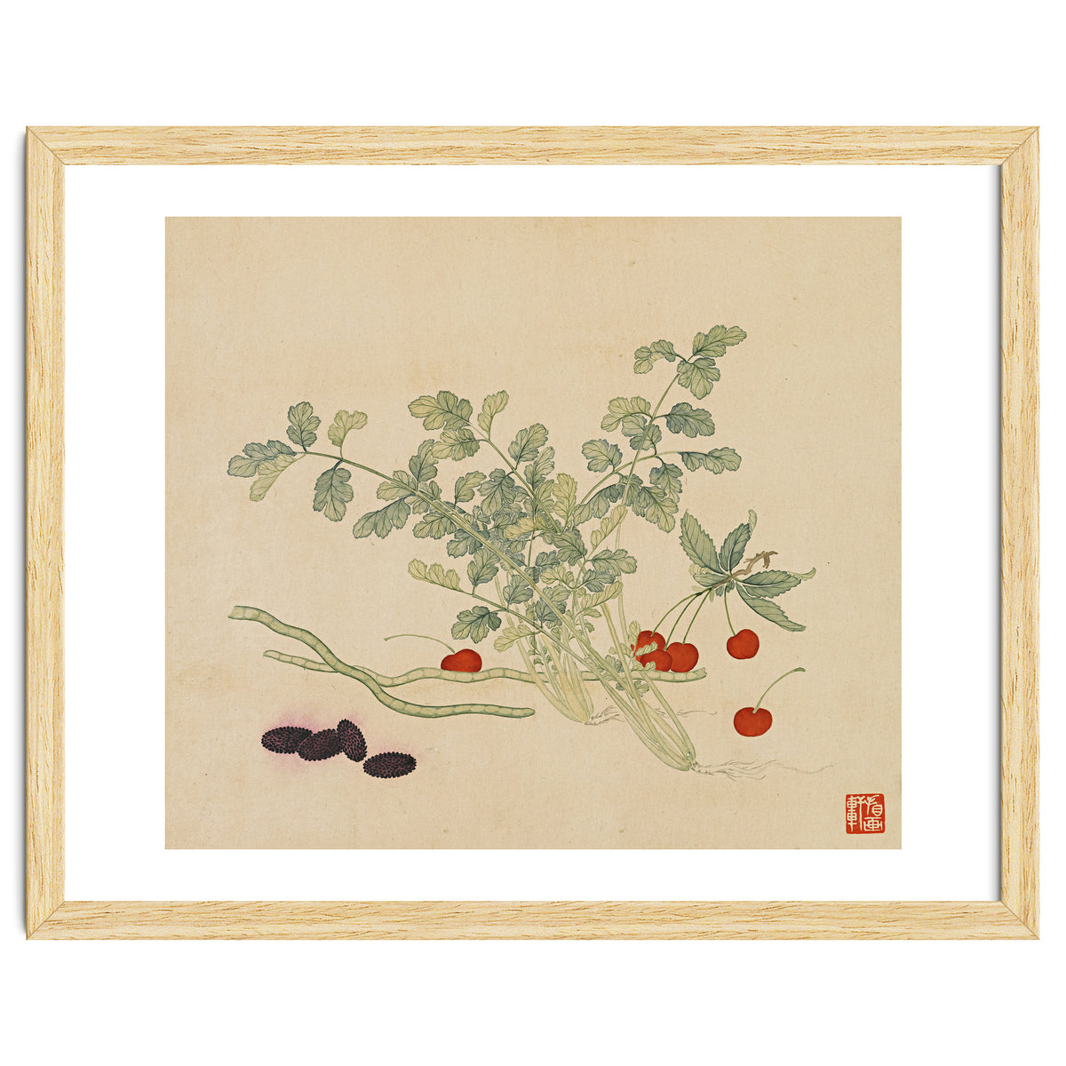 Wang Chengyu~flowers And Vegetables, Vegetables, Fruits, Beans, Red Beans, Cherries, Celery