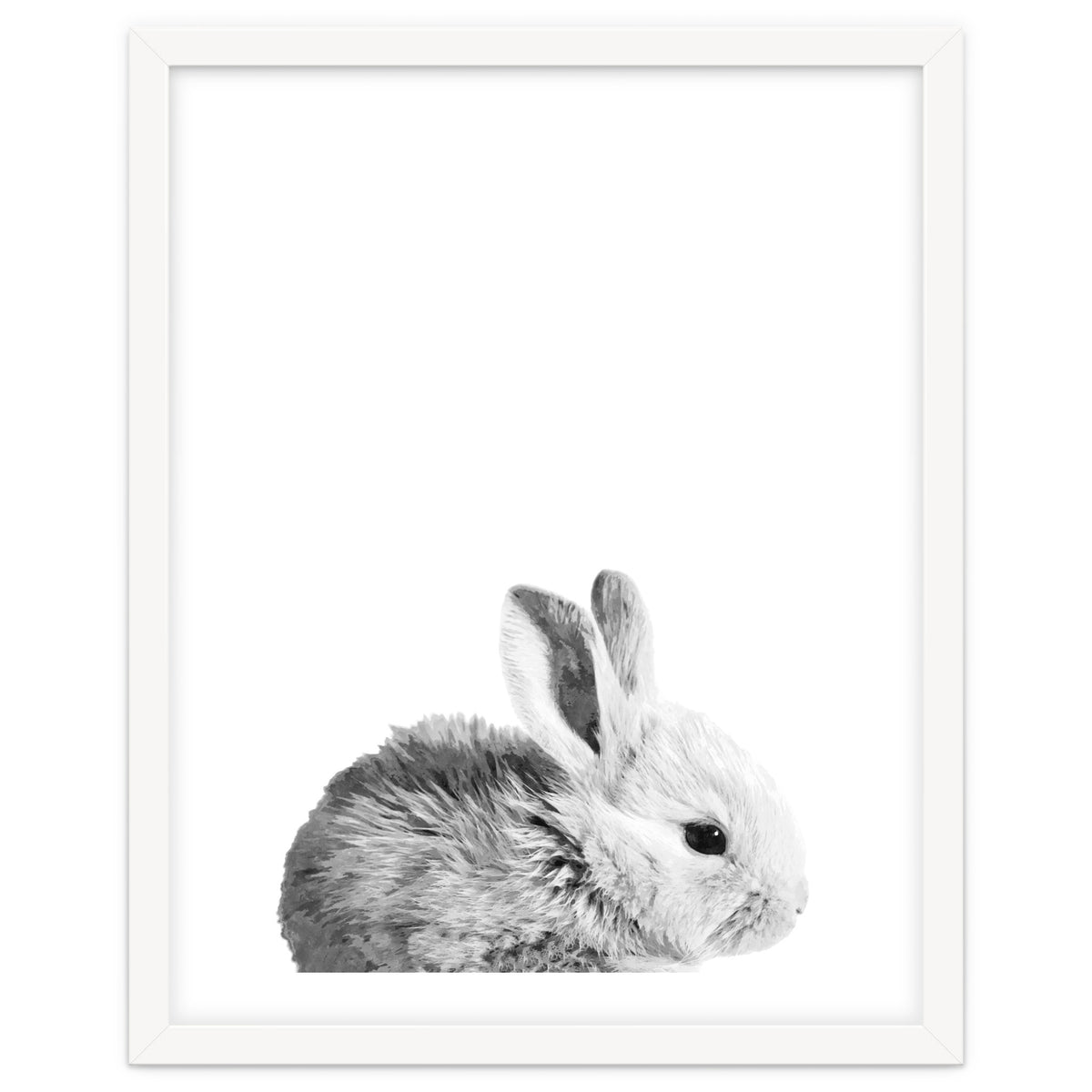 Black and White Bunny Portrait