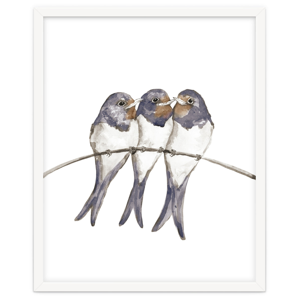 Three young swallows