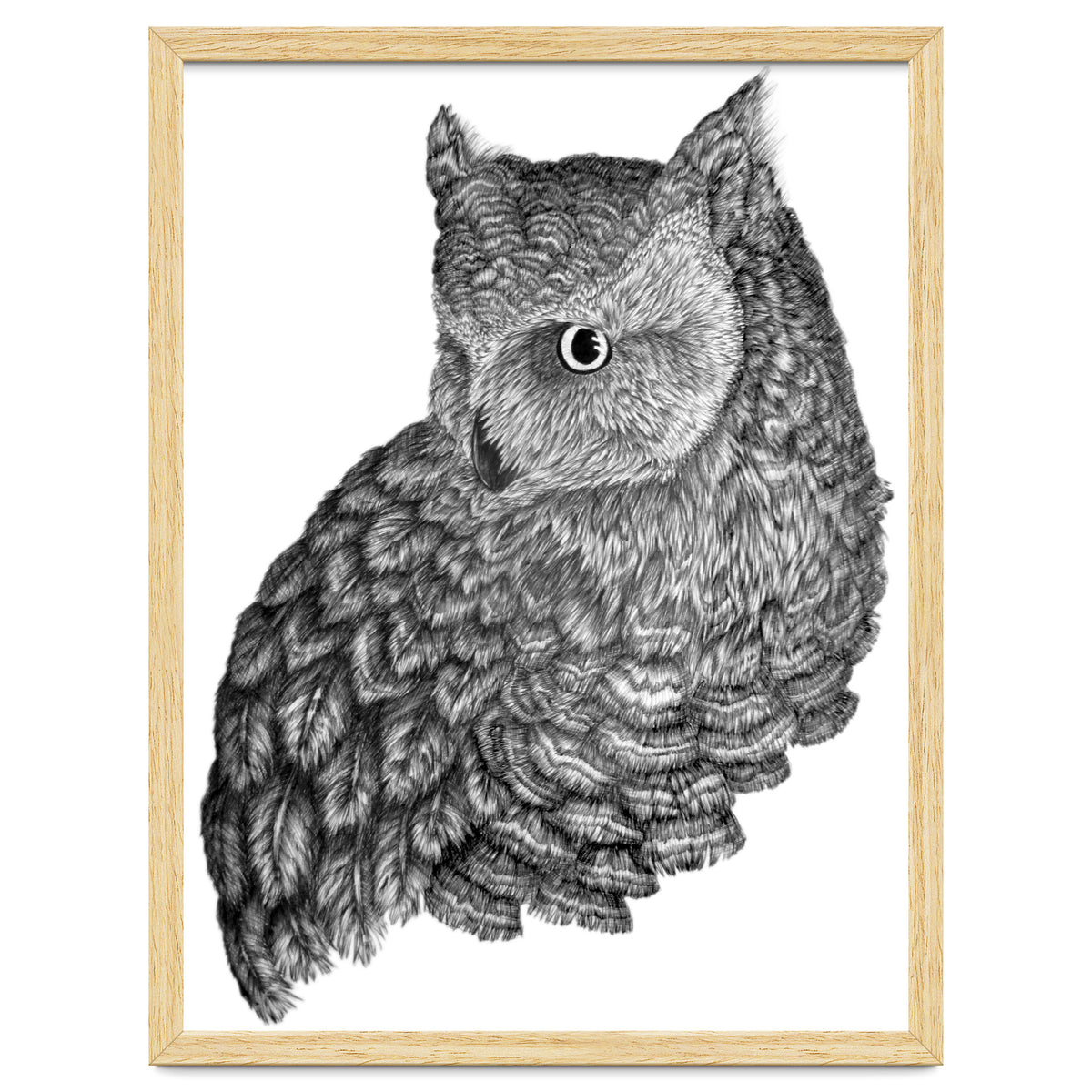 A Friend For Forsythe