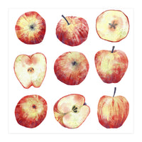 Apples (Print Only)