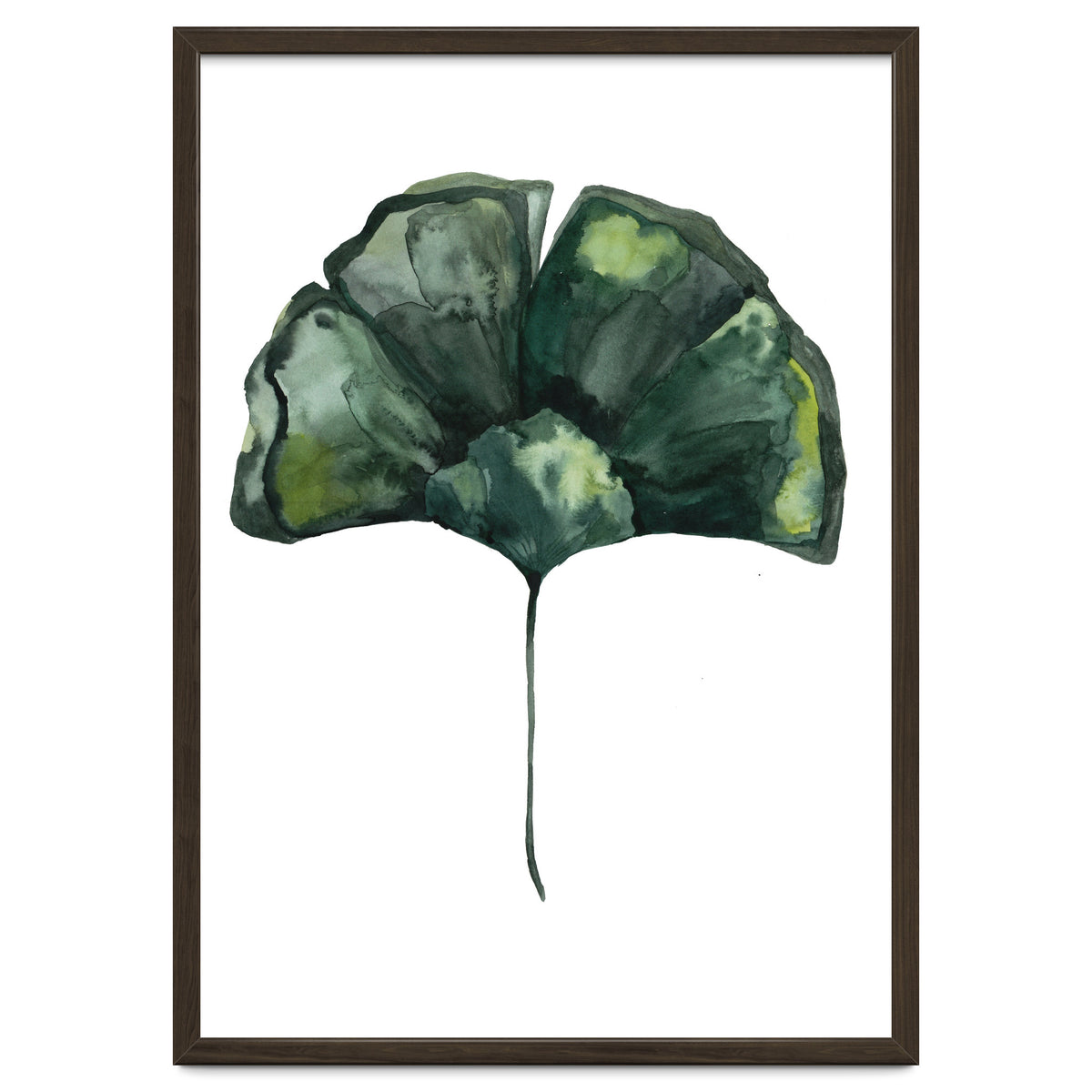 Botanical Illustration Ginko