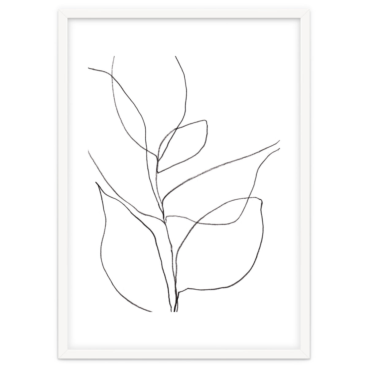 Plant Line Drawing