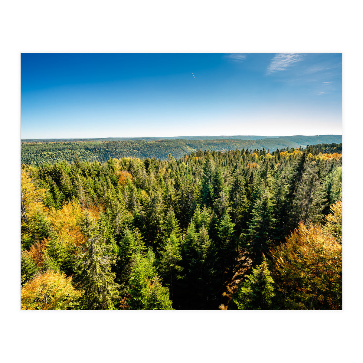 Black In Color (Print Only)