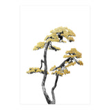 Bonsai Tree 06 (Print Only) thumbnail