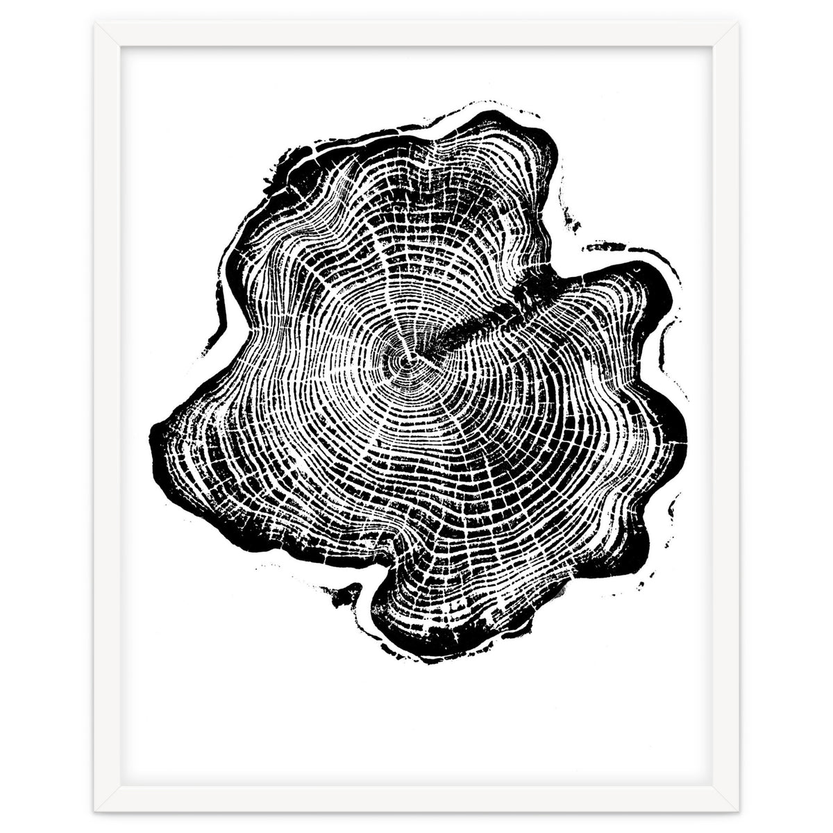 Alaskan Cypress, Tree Ring Art Print, Woodblock