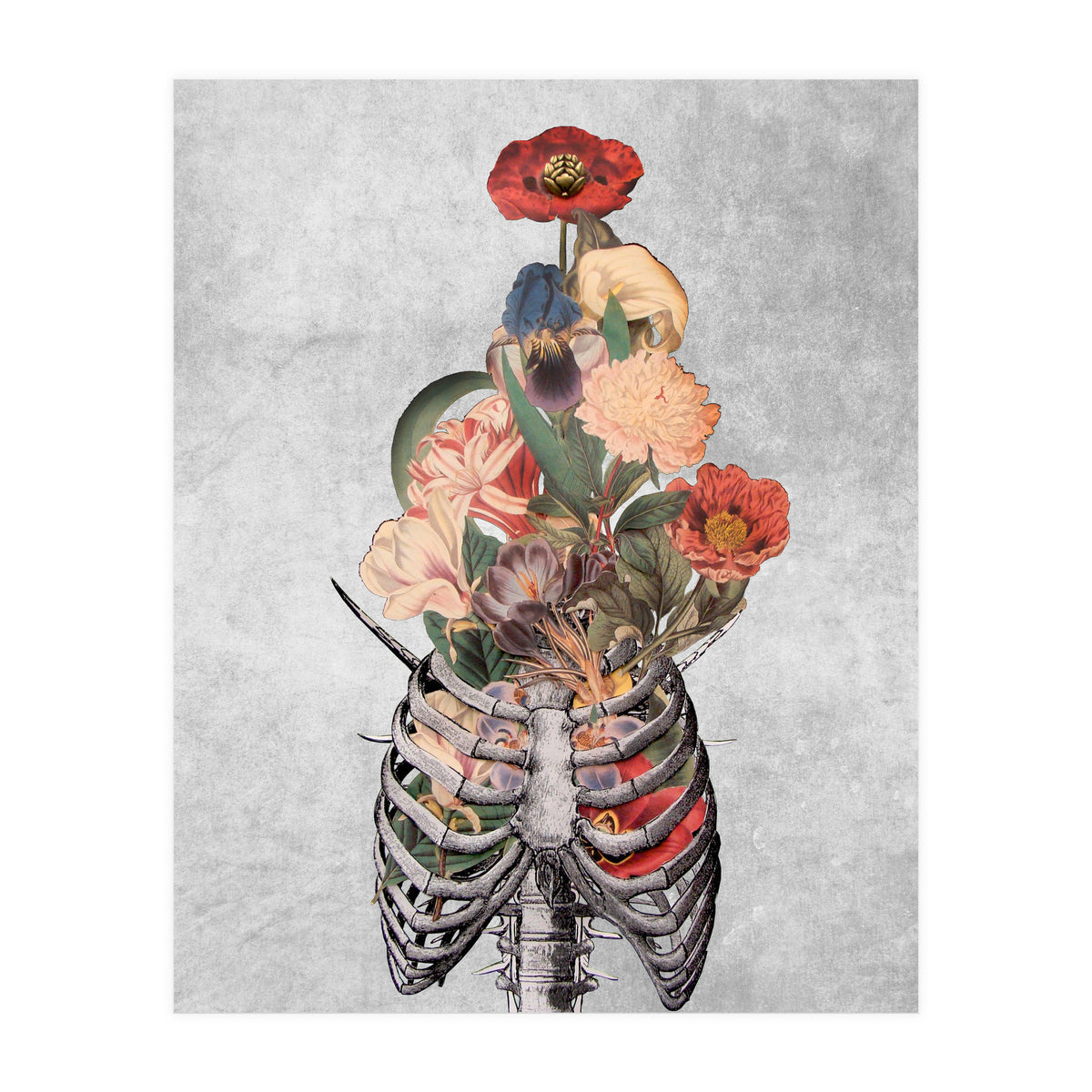 arte vittoriana (Print Only)