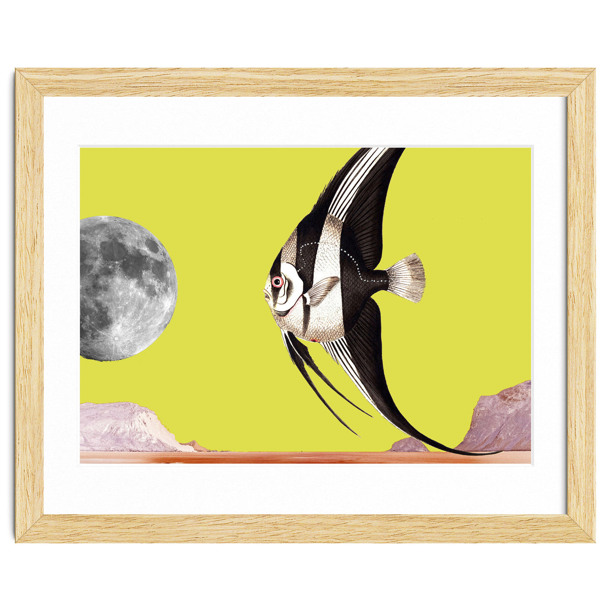 Plenty of fish in the sea yellow