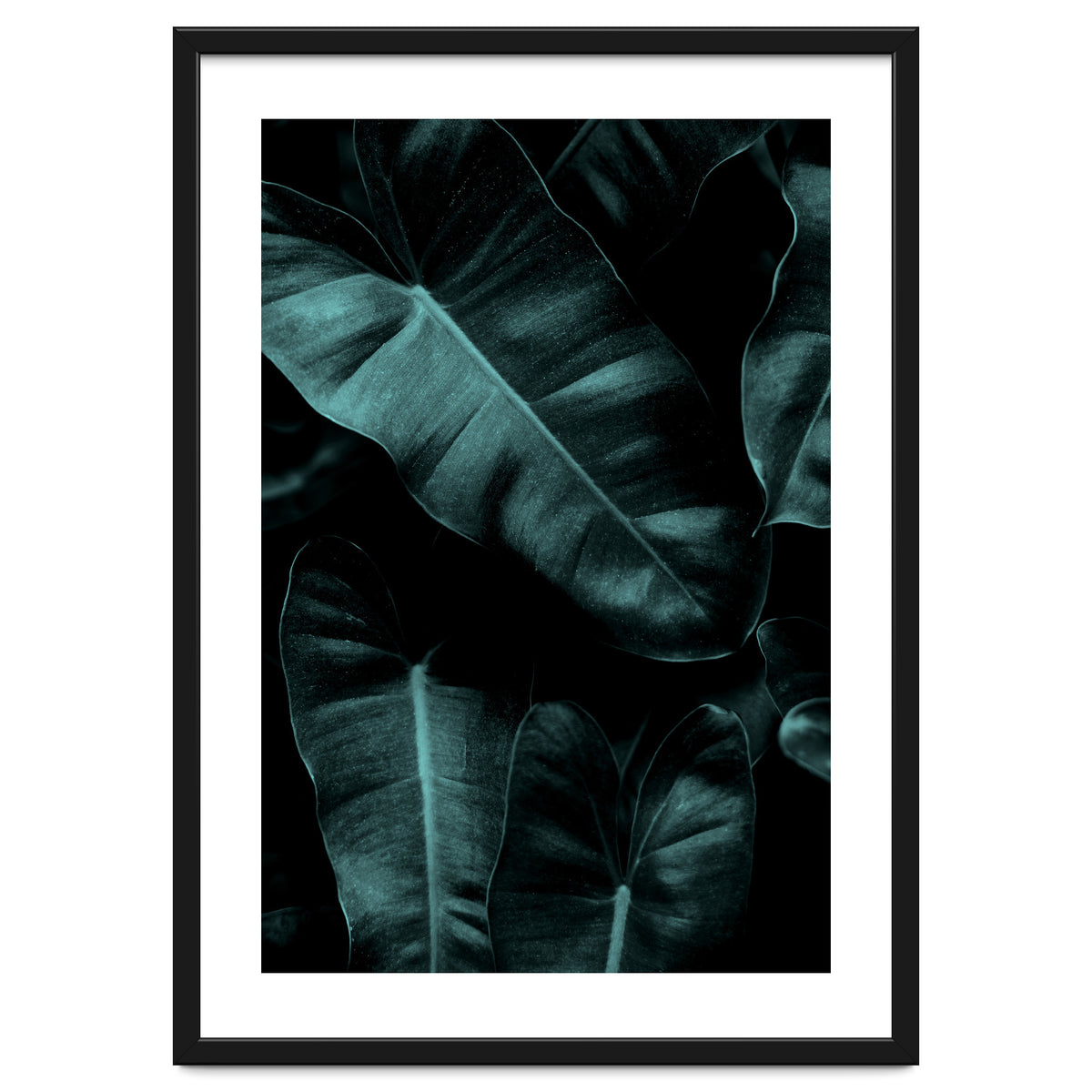 Dark Leafs