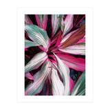 fiore red (Print Only) thumbnail