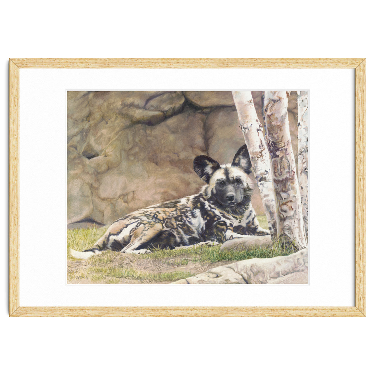 Afican Painted Dog IV - Imara