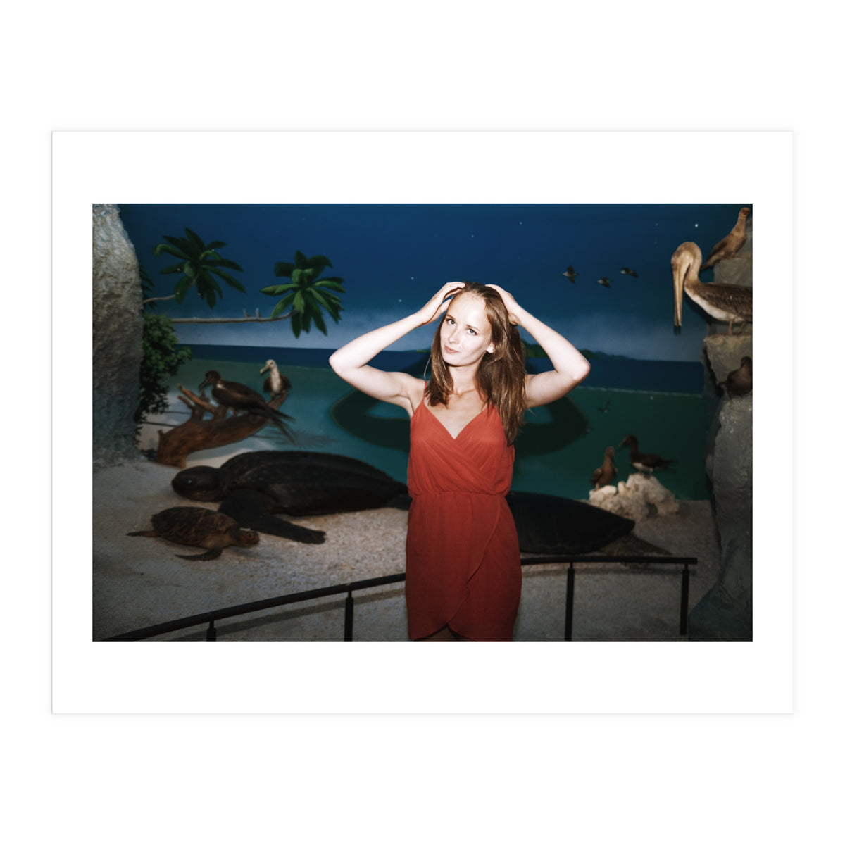 Galapagos (Print Only)