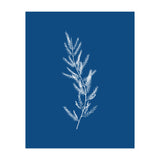 Blue Botanical II (Print Only) thumbnail