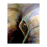 Kind Eye (Print Only) thumbnail