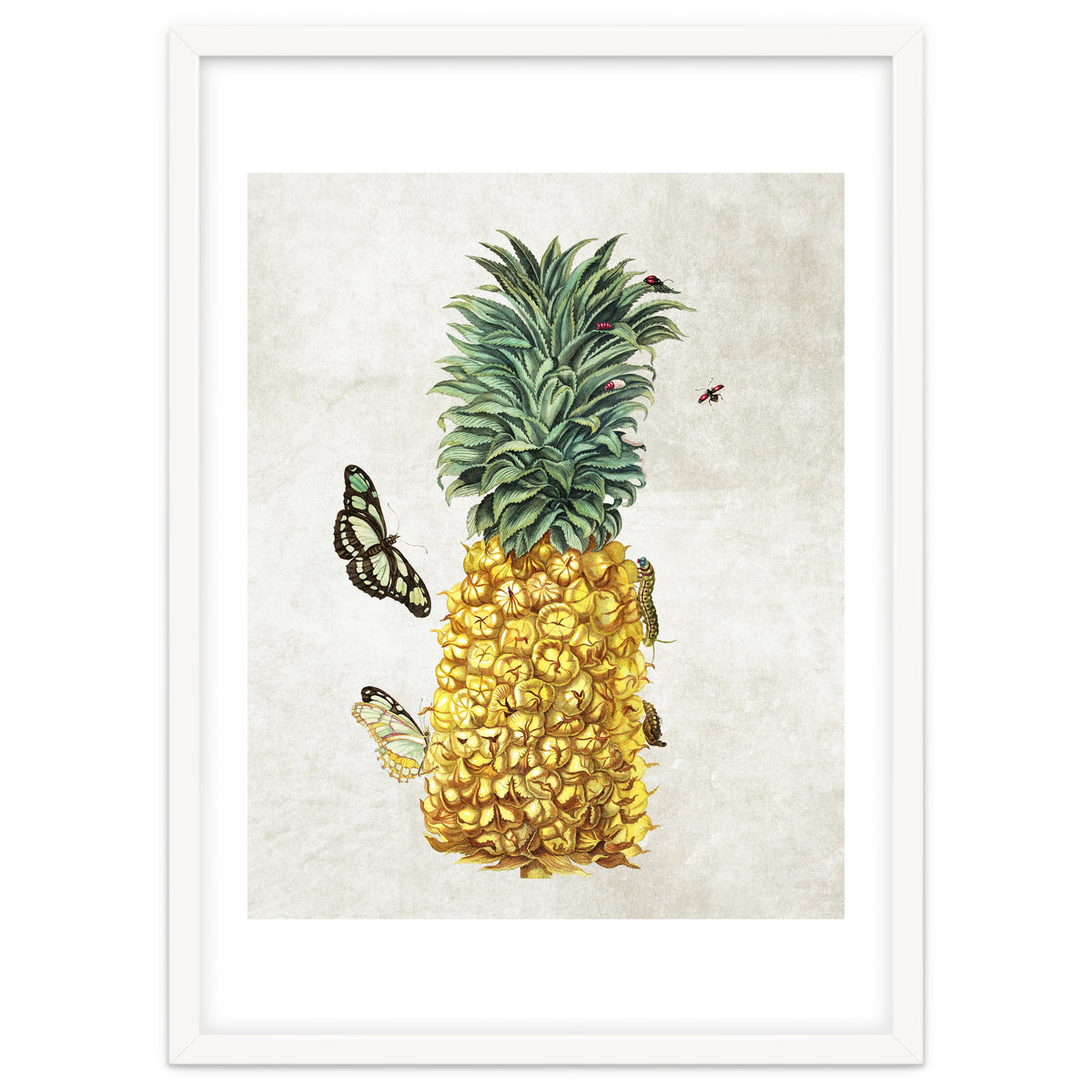 ananas