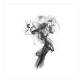 THE PORTRAIT OF A LADY (Print Only) thumbnail