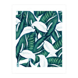 Tropical Winter (Print Only) thumbnail