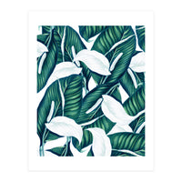 Tropical Winter (Print Only)