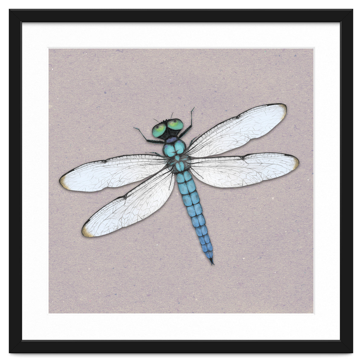 Blue dragonfly