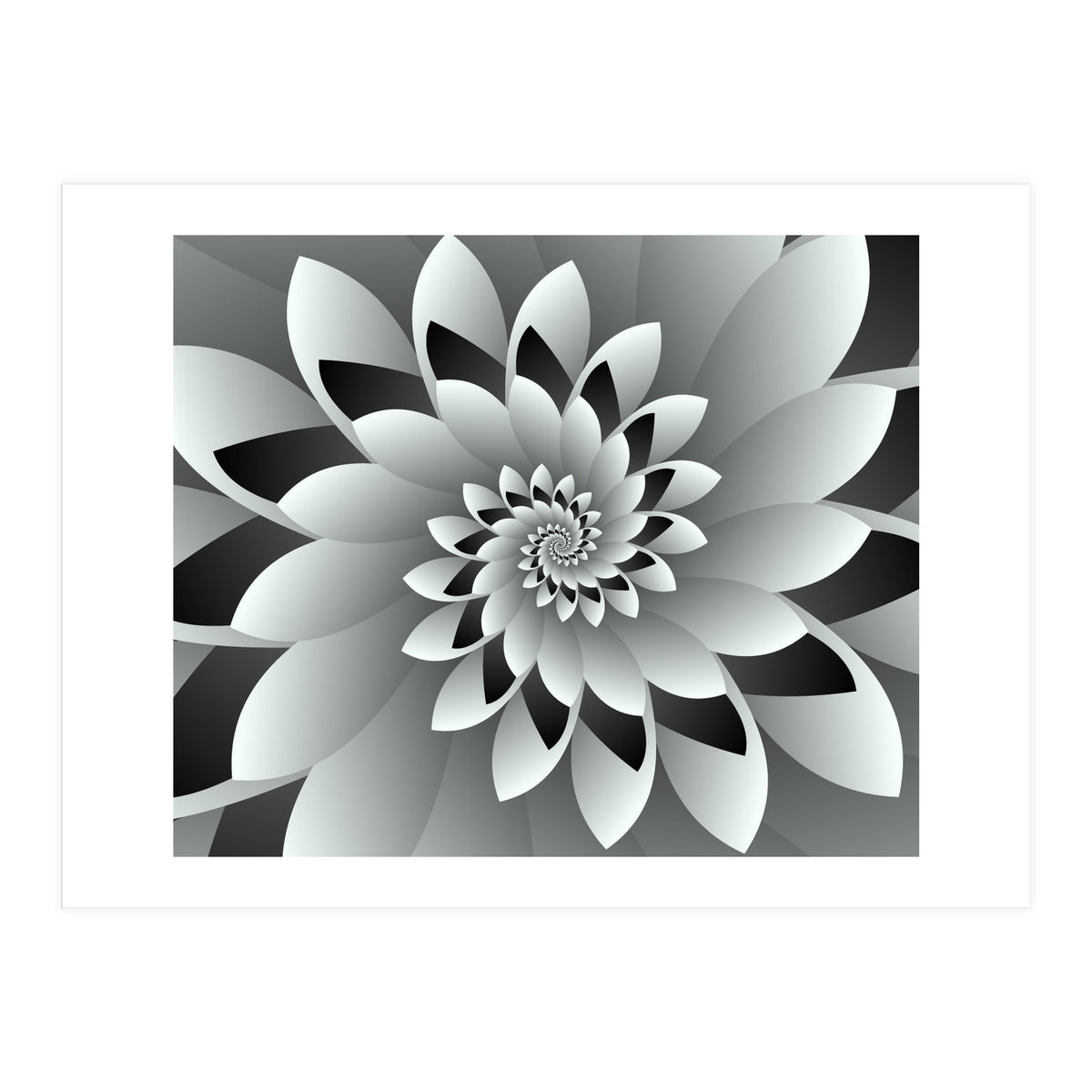Black & White Floral (Print Only)