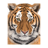 Tiger (Print Only) thumbnail