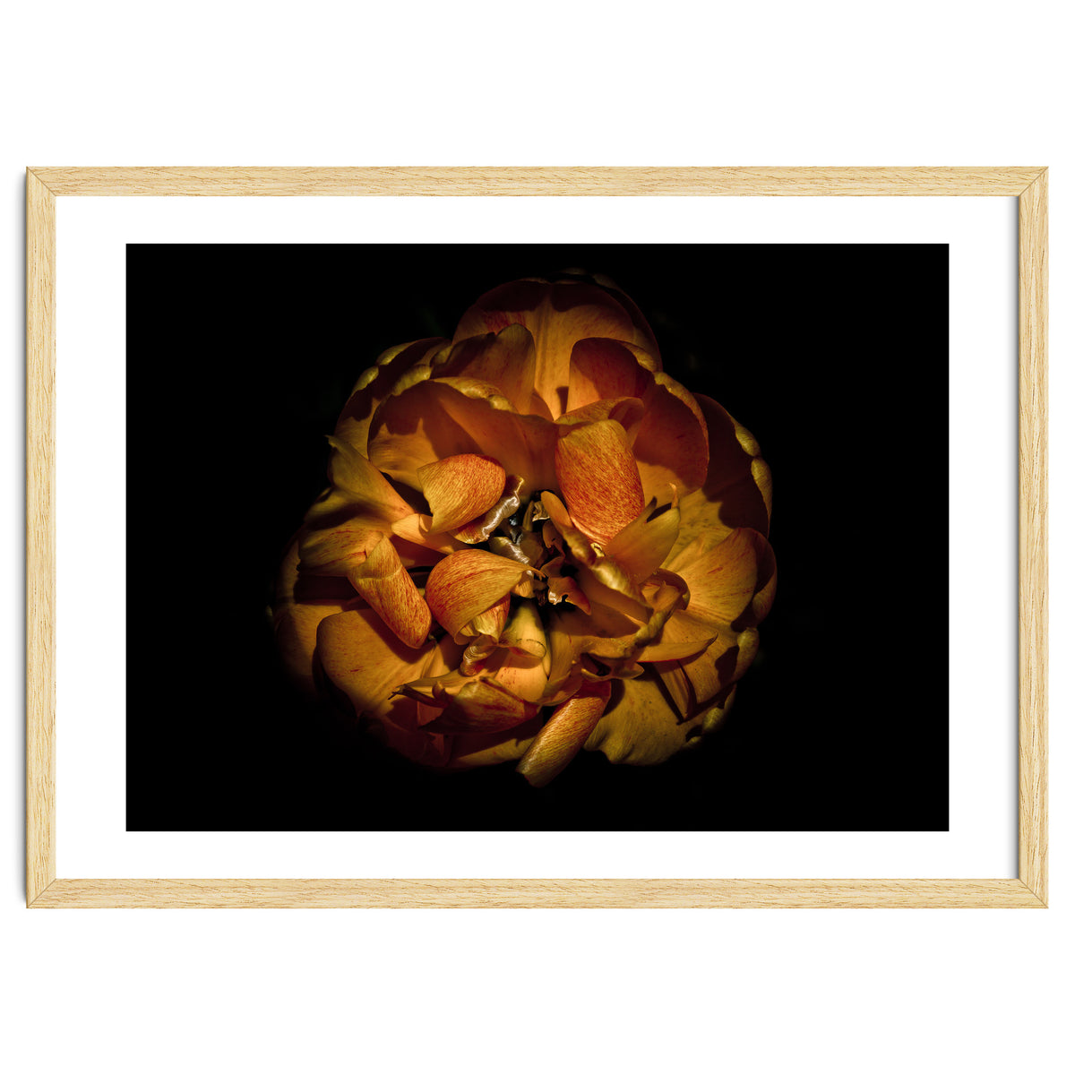 Backyard Flowers No 80 Color Version