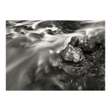The Stream (Print Only) thumbnail
