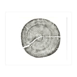 Rock Canyon, Tree Ring Print, Woodblock (Print Only) thumbnail